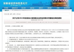 熱烈祝賀新安新站創(chuàng)芯科技園被認(rèn)定為“2022年安徽省小型微型企業(yè)創(chuàng)業(yè)創(chuàng)新示范基地”